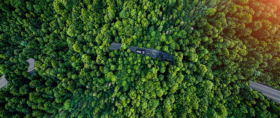 澄江松茂農(nóng)業(yè)科技開(kāi)發(fā)有限公司